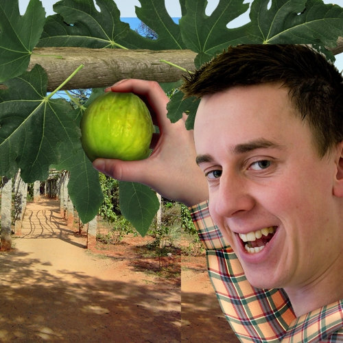 Creation of Fig Plucker: Step 5